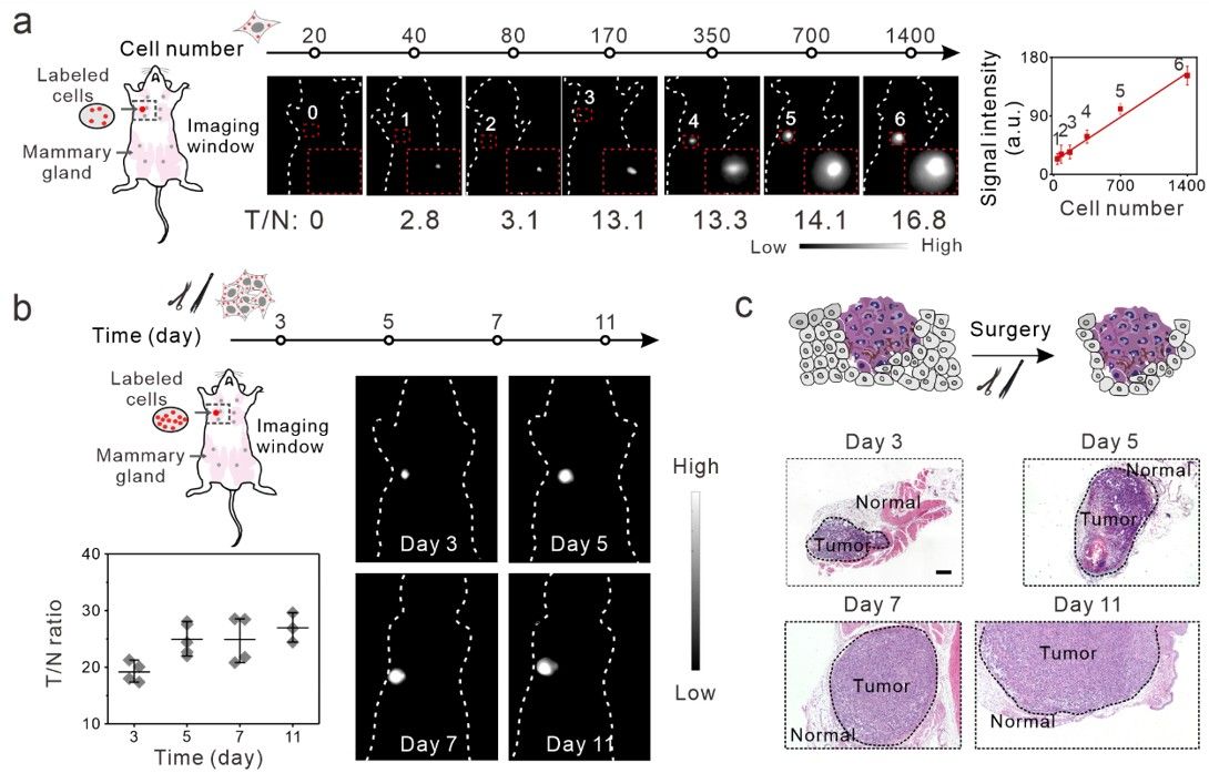 20241012-23.jpg 20241012-23.jpg